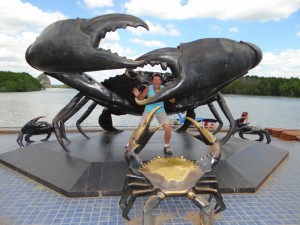De Krabben van Krabi