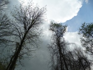 Blauwe lucht en dreigende wolken