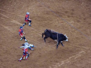 Bull Riding, minimal 8 sec. blijven zitten om te scoren