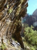 33-weeping-rock-in-zion np