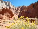 49-capitol-reef-nat-park