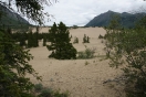 03-nogmaals-carcross-desert_0