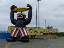 02-gorilla-fireworks