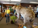 16-seward-visitor-center-1024x768