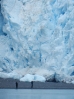 30-mensen-bij-de-aialik-glacier-768x1024