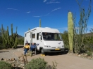 24-organ-pipe-saguaro-en-ocotillo