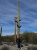 32-deze-saguaro-is-nog-groter