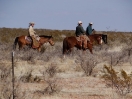 05-echte-cowboys-in-new-mexico
