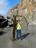 31-11-meter-kelp