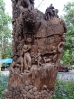45-chiang-mai-zoo-houtsnijwerk-in-boomstam