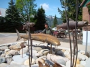 10-de-steur-en-de-zalm-in-revelstoke_0