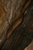 22-jewel-cave-bacon