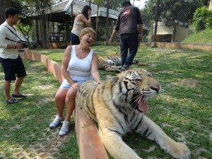 Rieta heeft plezier met de tijgers