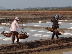 Zoutwinning bij Kampot