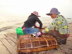 Krab sorteren in Kep