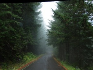 Bear Camp Coastal Road