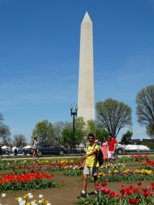 Nederlandse tulpen met zicht op het Washington Monument