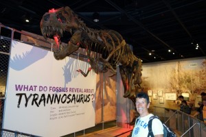 De Tyrannosaurus was groot