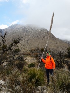 Koud in de Guadalupe Mountains