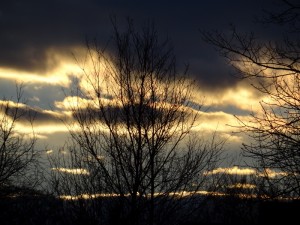 vondlucht in Brueggen