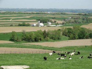 Akkers in terrasvorm op de heuvels