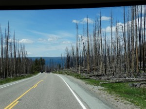 Bosbrand restanten volop in Yellowstone