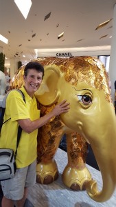 11-Elephant Art in Siam Center