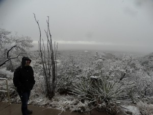 Winter in Oliver Lee Mountain State Park