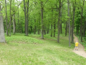 Bijzondere heuvels in Effigy Mounds