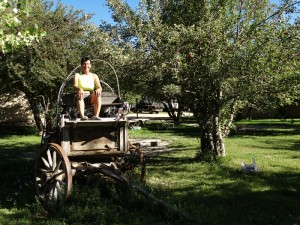 De Chuckwagon in  de appel boomgaard