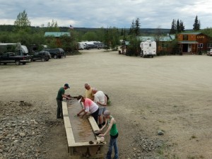 Gold Panning in Chicken