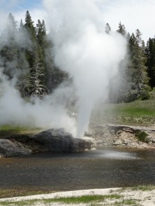 De Riverside Geyser spuit ca. 20 minuten lang