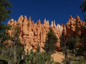 Zicht vanaf de bodem van de Navajo loop in Bryce Canyon