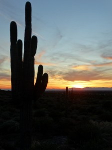 Avond Lost Dutchman State Park