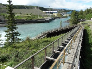 De Fish Ladder in Whitehorse